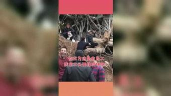 吃瓜星球娱乐,揭秘娱乐圈幕后故事与热点事件