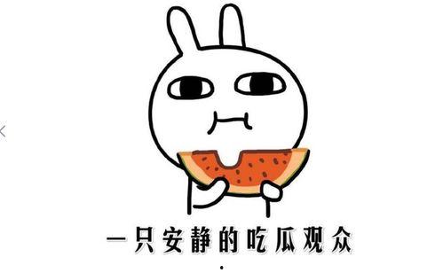 娱乐吃瓜酱主观厌恶定律,揭秘那些让我反感的明星八卦
